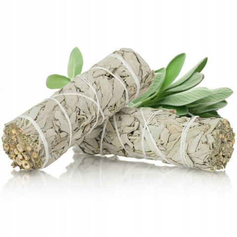 Biała szałwia Kalifornijska Salvia Apiana wysoka jakość pęczek