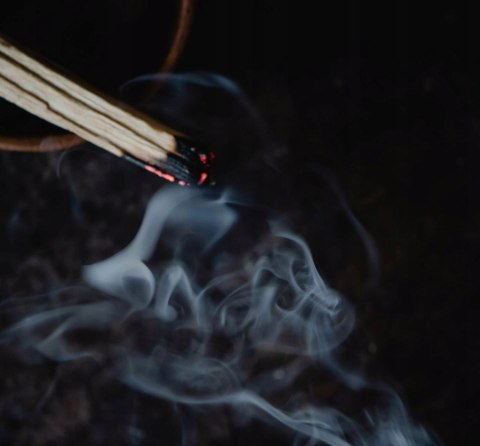 Palo Santo 50 g Z CERTYFIKATEM