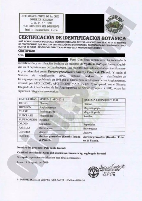 Palo Santo 50 g Z CERTYFIKATEM