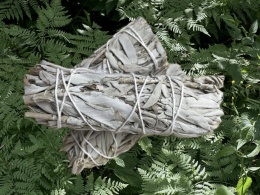 Biała szałwia kalifornijska pęczek