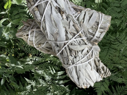 Biała szałwia kalifornijska pęczek