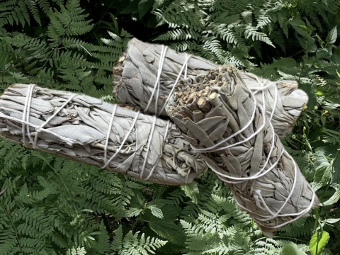 Biała szałwia kalifornijska pęczek