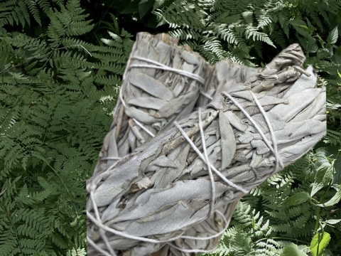 Biała szałwia kalifornijska pęczek